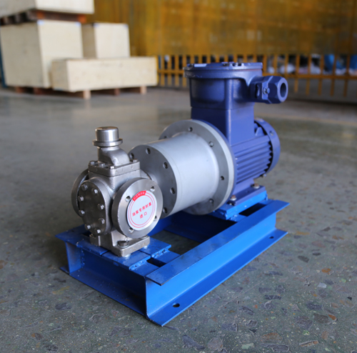 圓弧齒輪泵YCB10-1.6整機(jī)、配磁力聯(lián)軸器.JPG